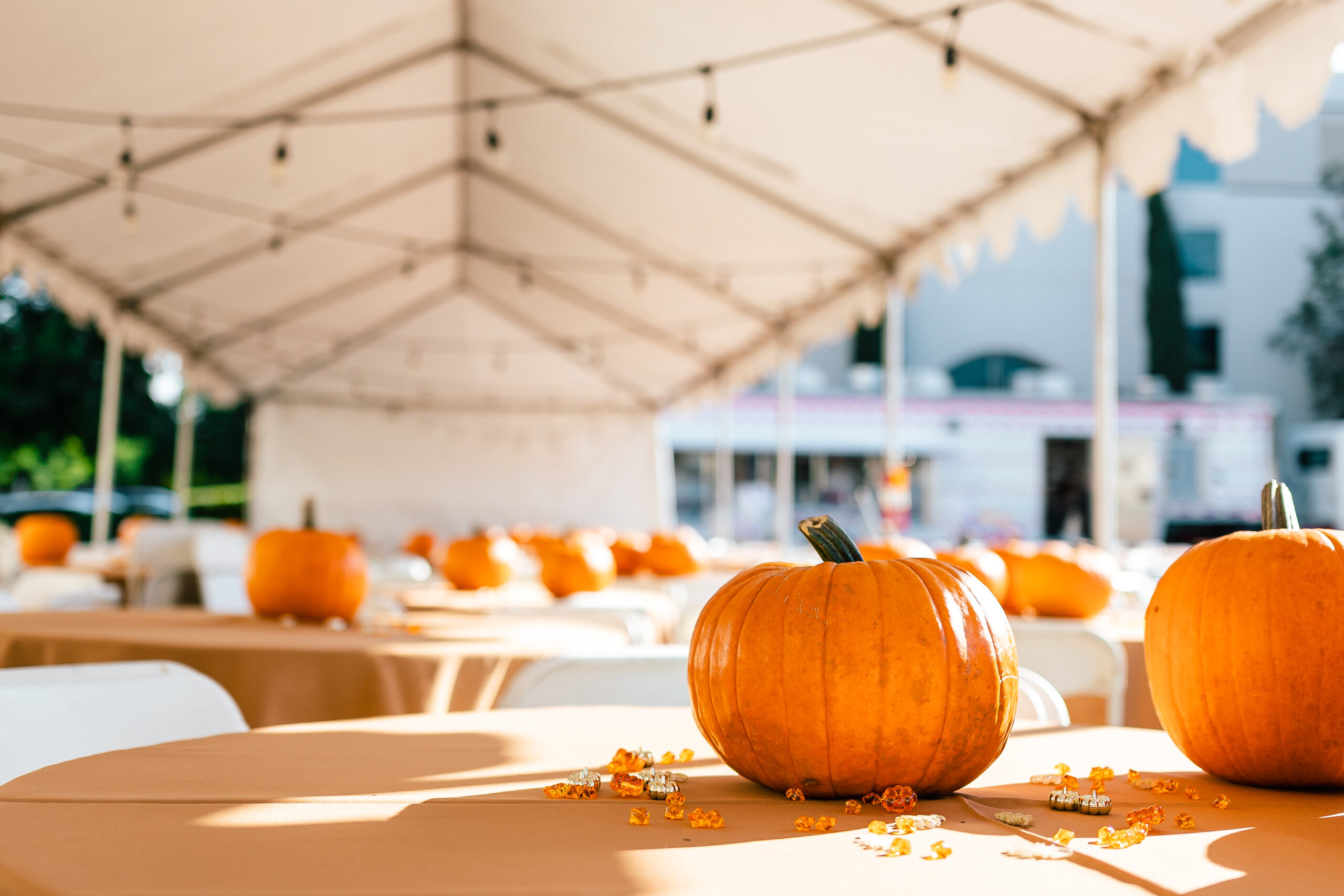 Friendly interaction at IEOMFS community oral surgery event