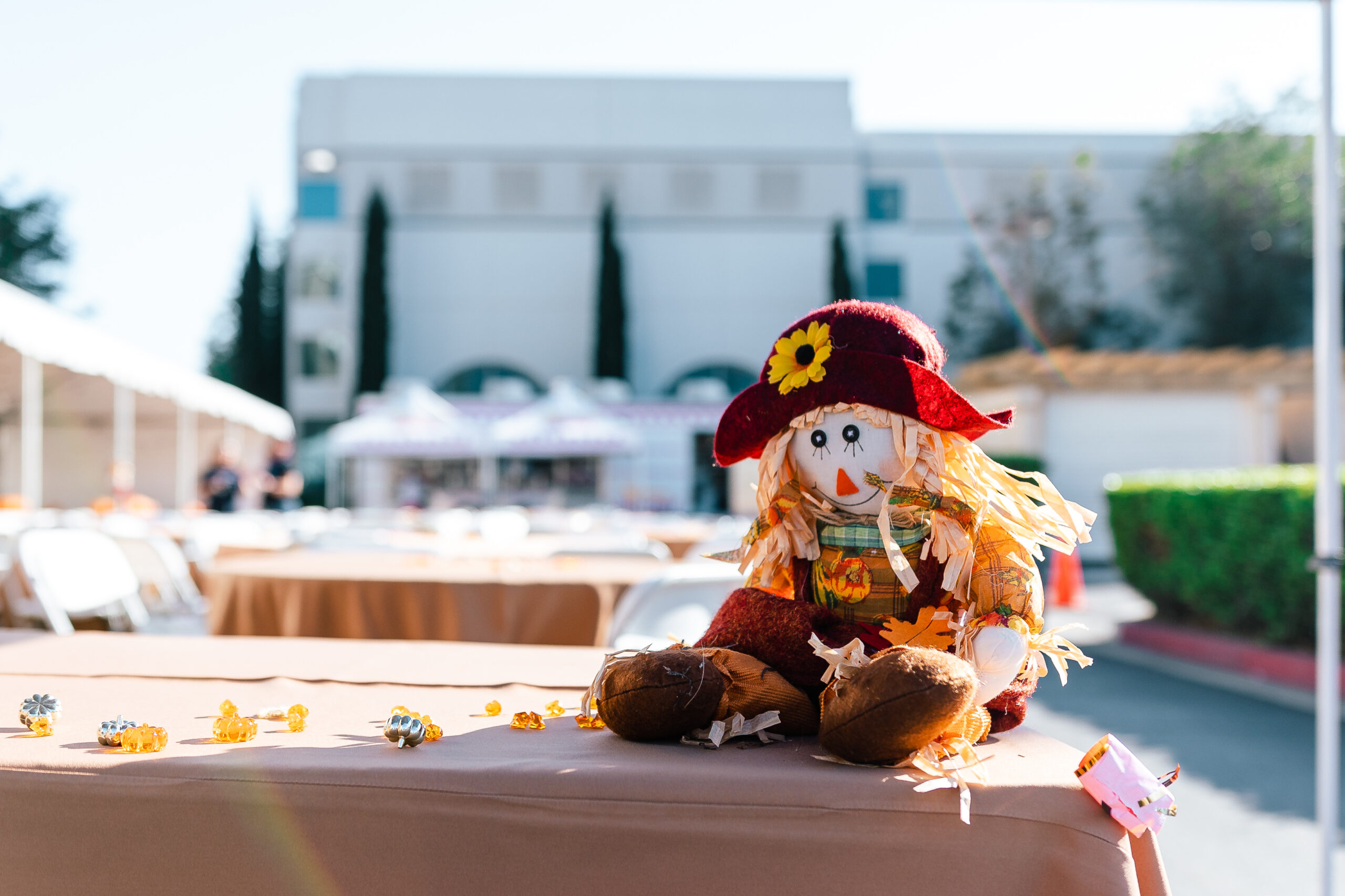 IEOMFS team members engaging with community at event